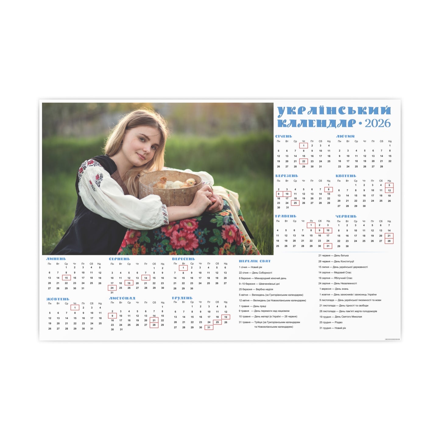 Little chicks in a sieve | 2026 Ukrainian Calendar CANADA