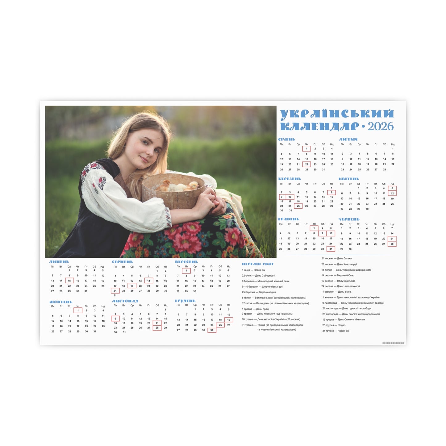 Little chicks in a sieve | 2026 Ukrainian Calendar CANADA