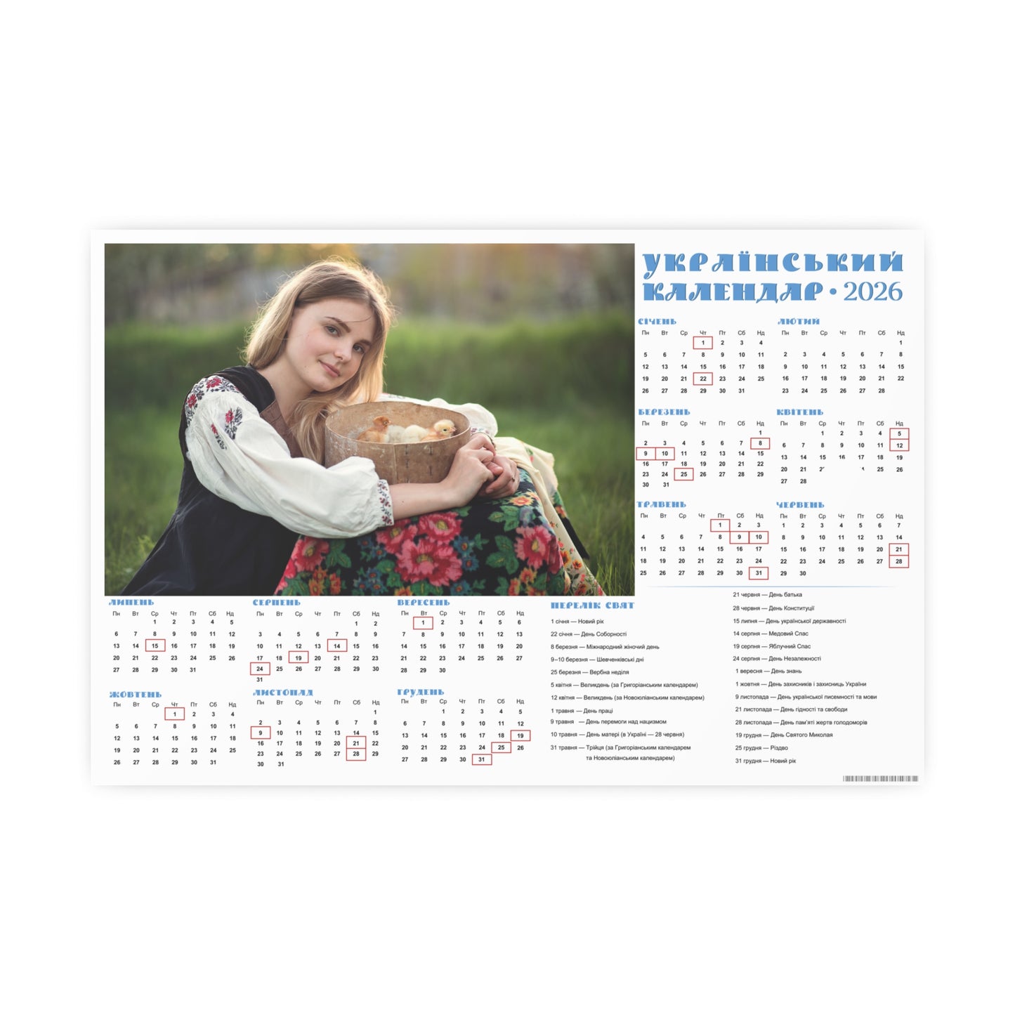 Little chicks in a sieve | 2026 Ukrainian Calendar CANADA