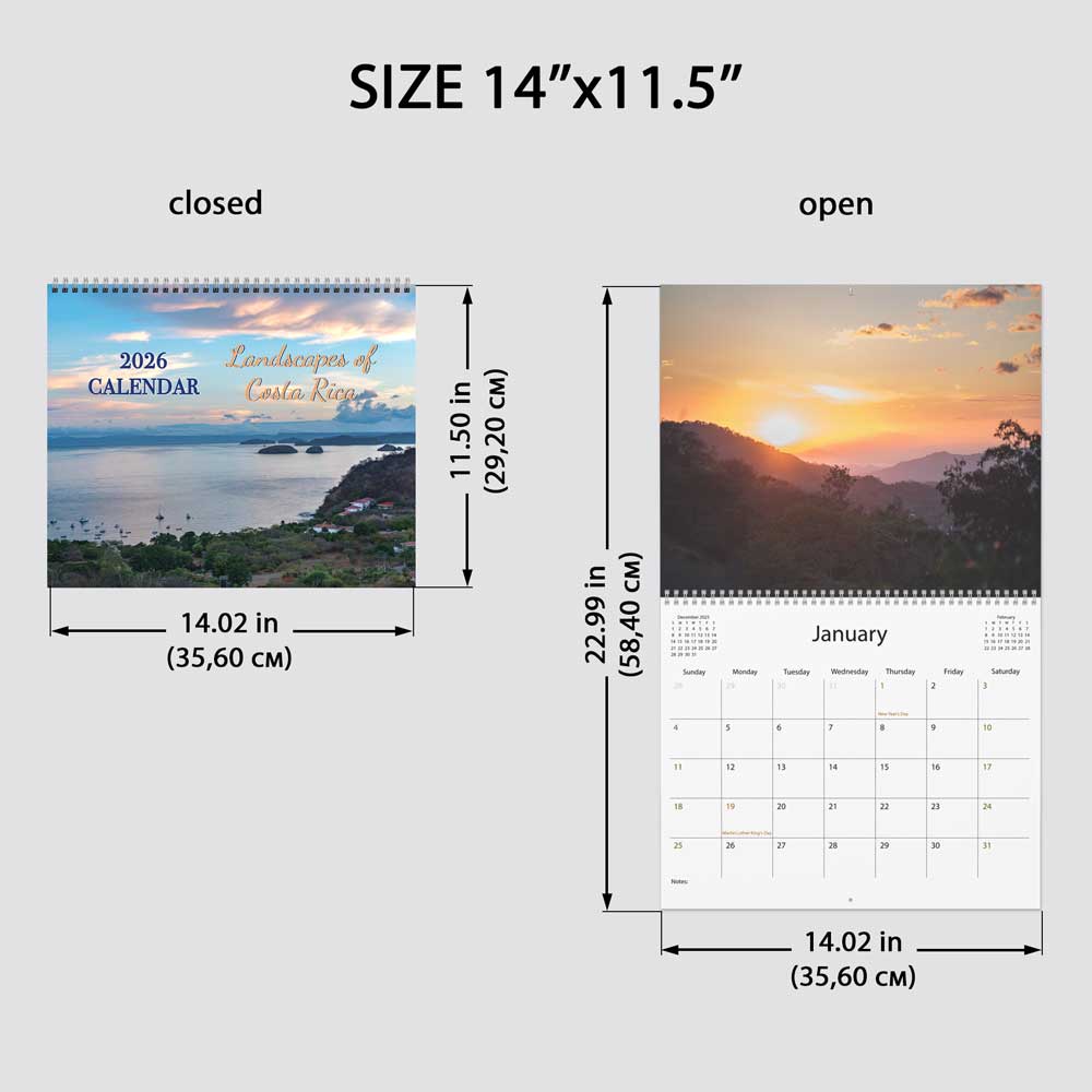 unique mother day gift, giant calendar, monthly wall calendar