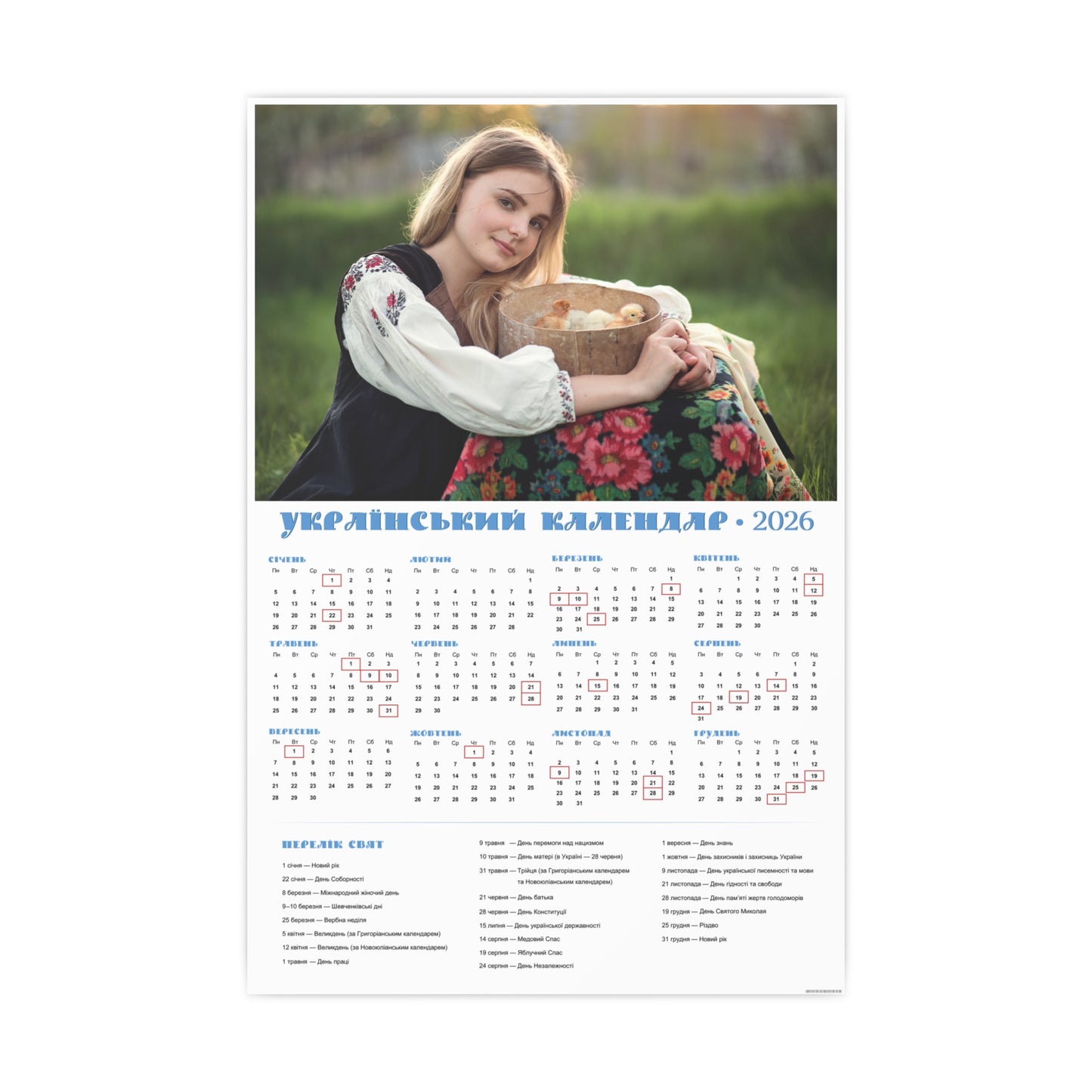 Little chicks in a sieve | 2026 Ukrainian Calendar CANADA