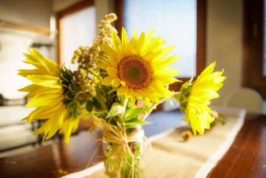 Summer Coziness: Creating a Ukrainian Atmosphere at Home
