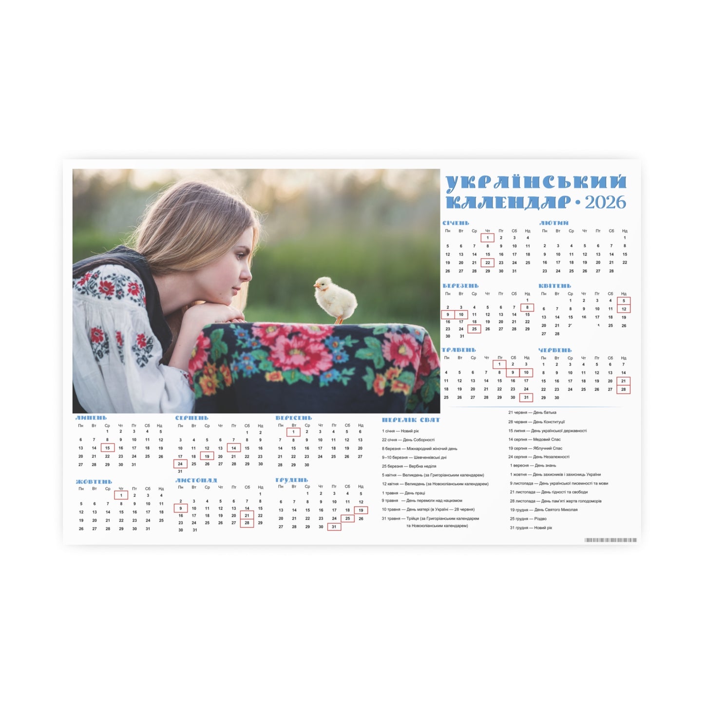 Two little chicks | 2026 Ukrainian Calendar CANADA