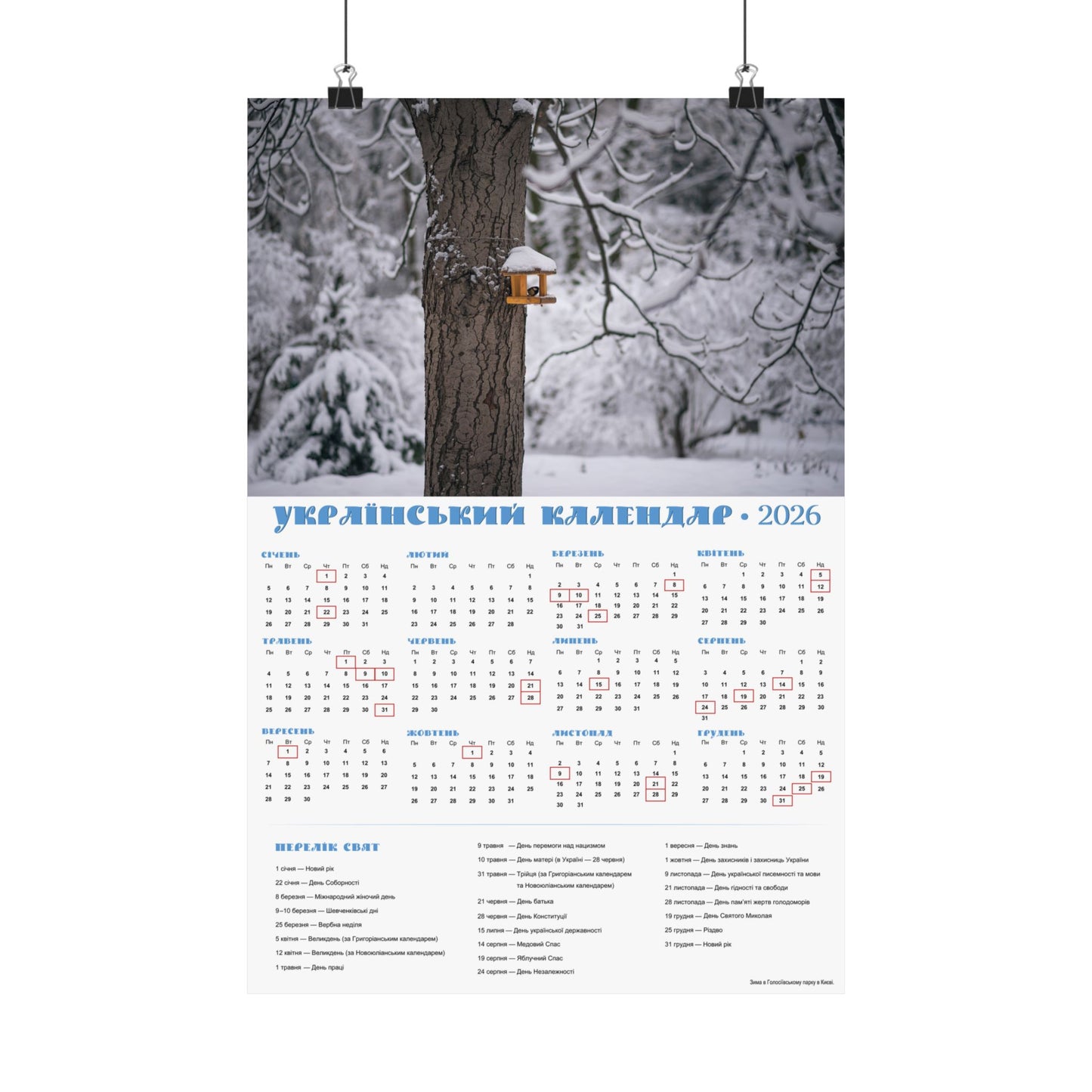 Winter in Holosiivskyi Park in Kyiv | 2026 Ukrainian Calendar USA