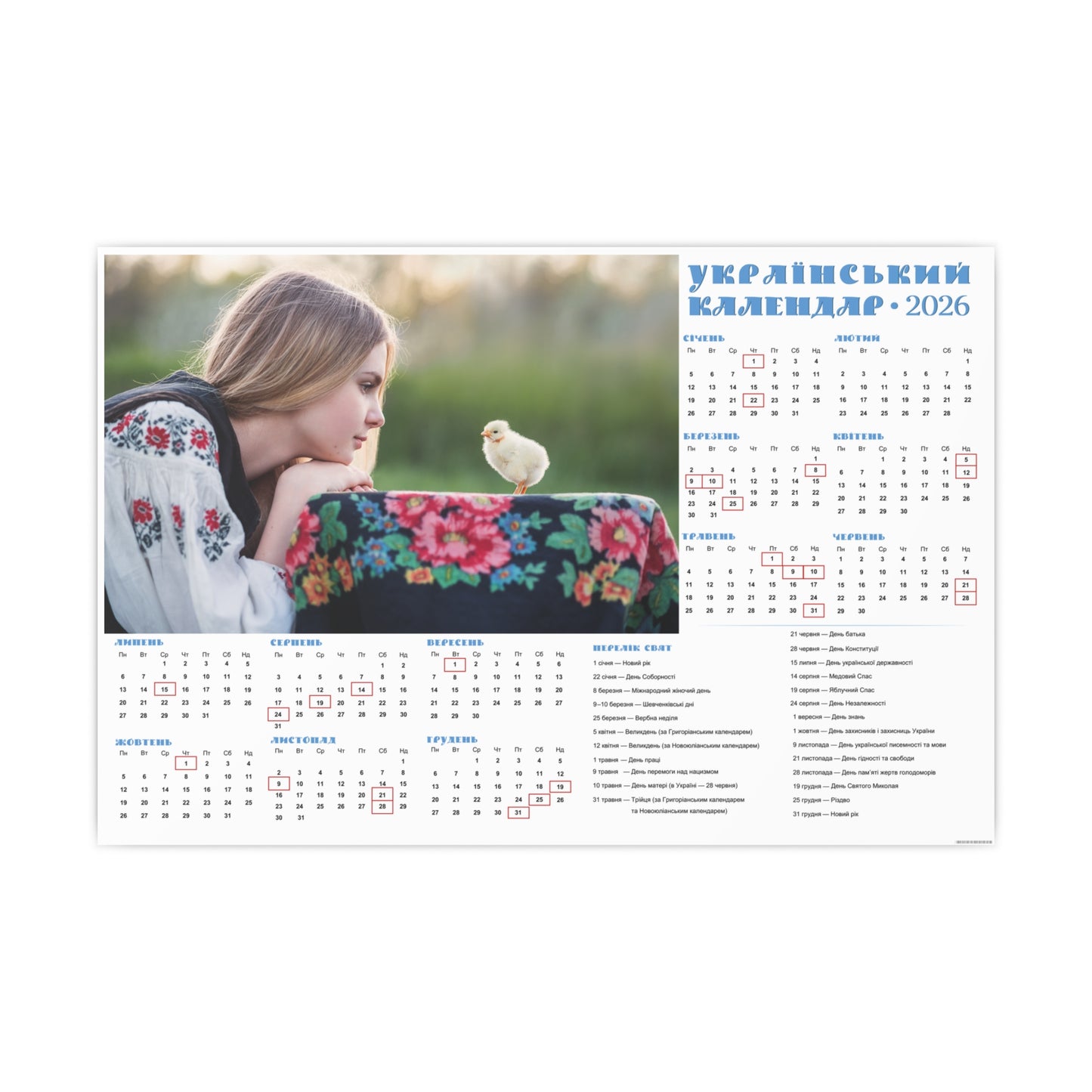 Two little chicks | 2026 Ukrainian Calendar CANADA