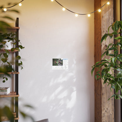 Curiosity | 2026 Ukrainian Calendar CANADA